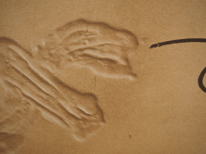 Antoni TAPIES : Relief, Tracés sur le sable - Lithographie signée