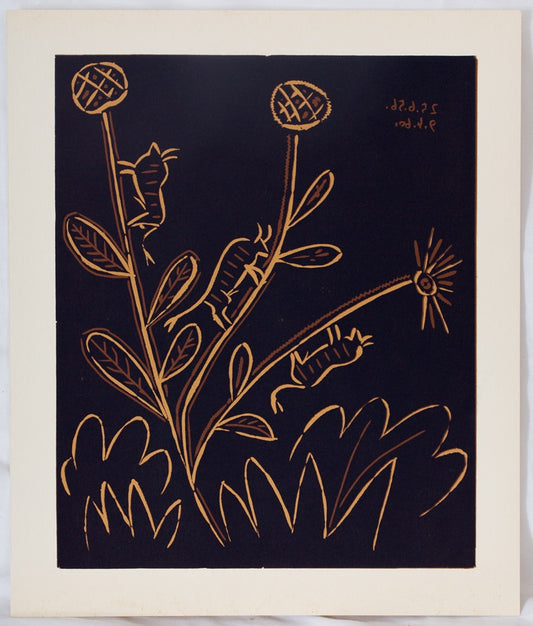 Pablo PICASSO : Plante aux toritos - Linogravure