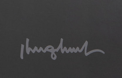 Philippe GELUCK : Le chat au Musée Soulages - Affiche originale signée