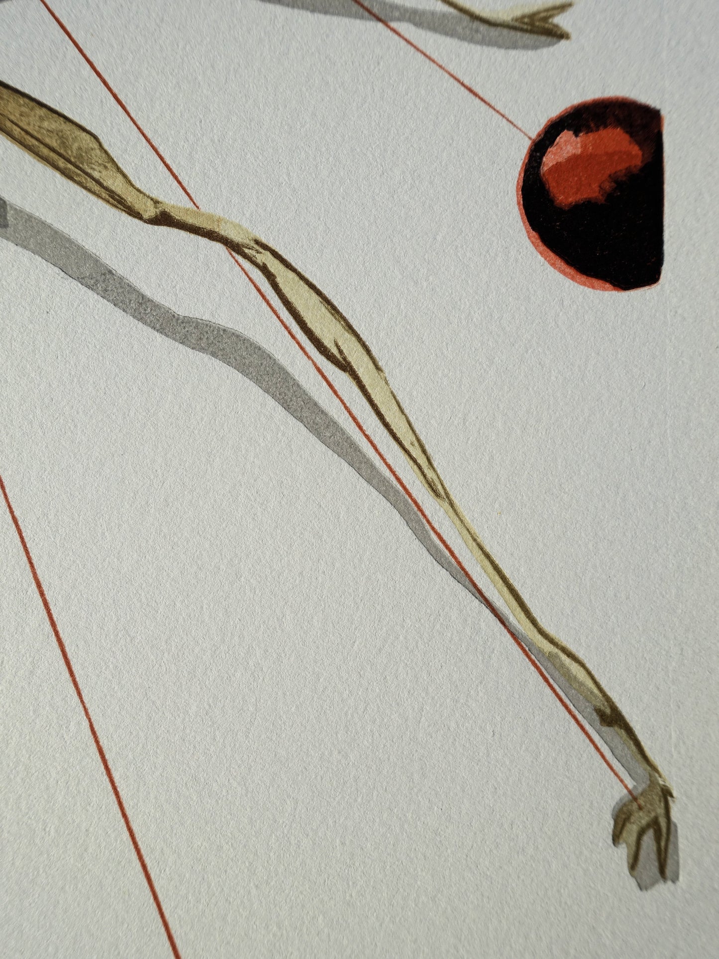 Salvador DALI : Arachné - Bois gravé original