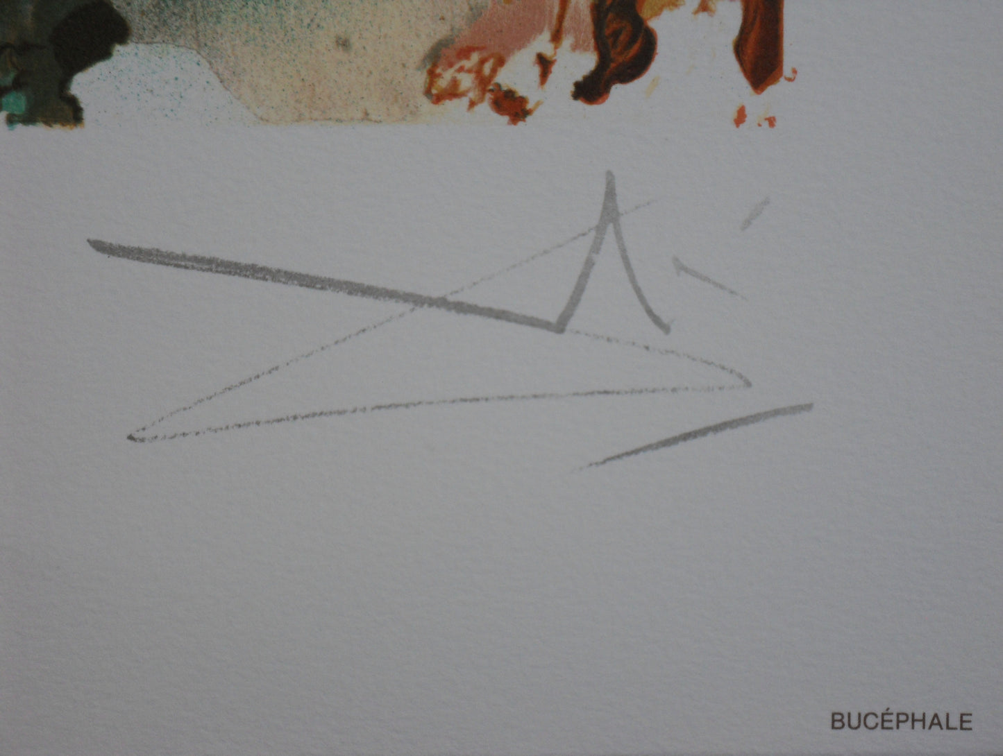 Salvador DALI : Les Chevaux - Bucéphale, Lithographie signée