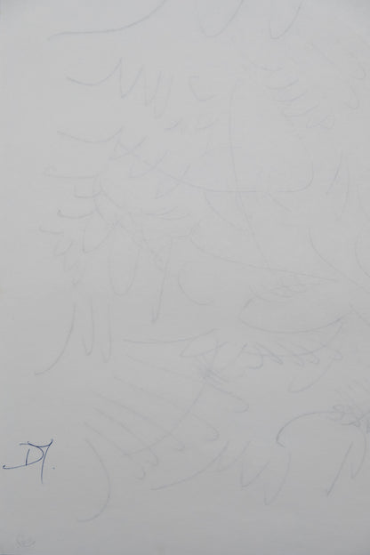 Dora MAAR : Composition végétale - Dessin original signé