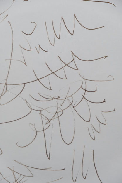 Dora MAAR : Composition végétale - Dessin original signé