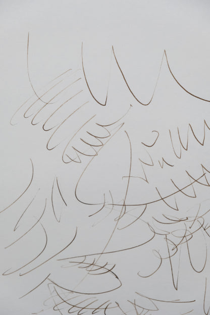 Dora MAAR : Composition végétale - Dessin original signé