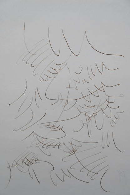 Dora MAAR : Composition végétale - Dessin original signé