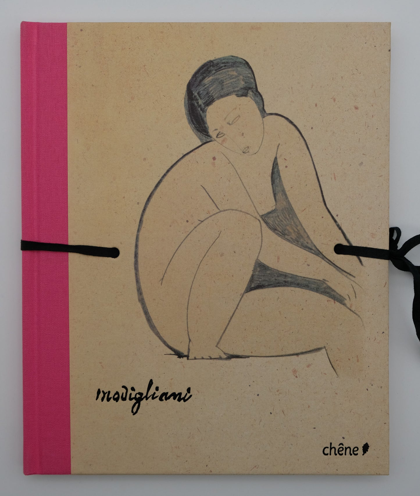 Amedeo MODIGLIANI : Carnets érotiques - Livre illustré