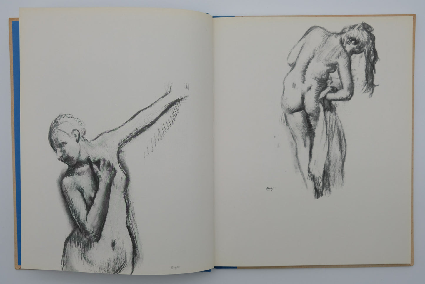 Edgar DEGAS : Carnets érotiques - Livre illustré