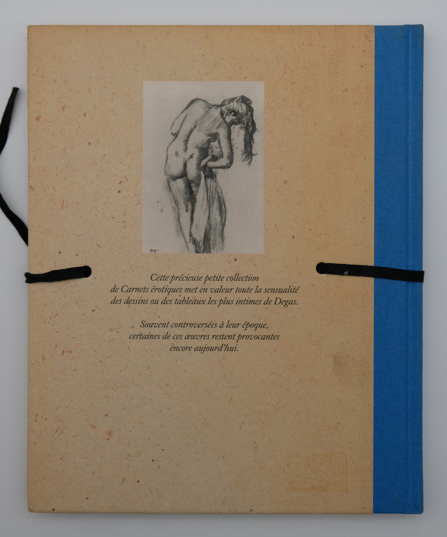 Edgar DEGAS : Carnets érotiques - Livre illustré