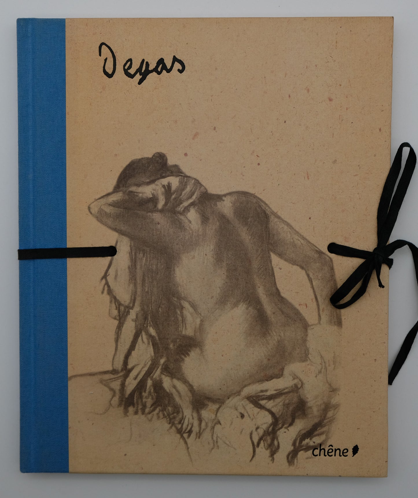 Edgar DEGAS : Carnets érotiques - Livre illustré