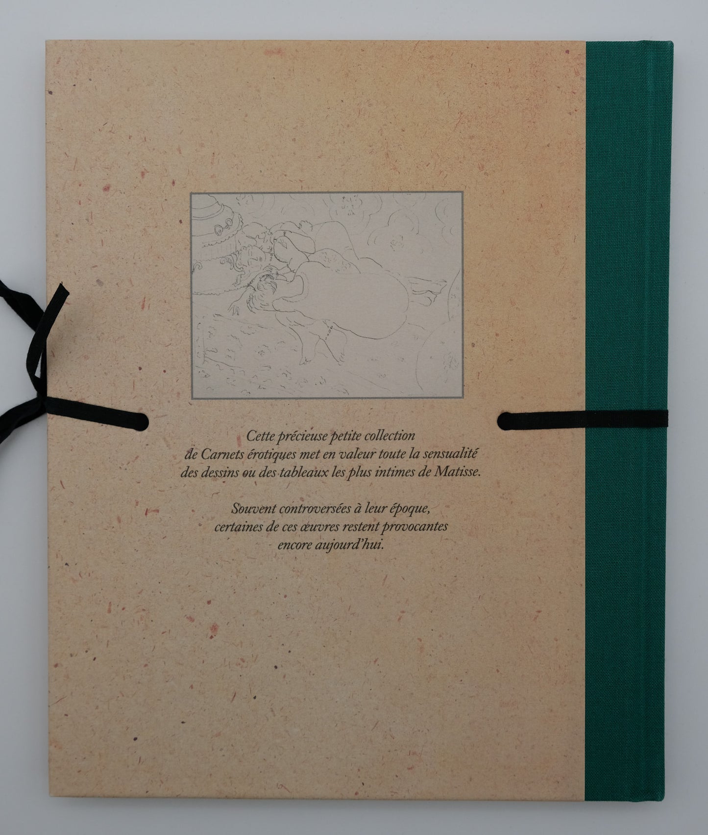 Henri MATISSE : Carnets érotiques - Livre illustré