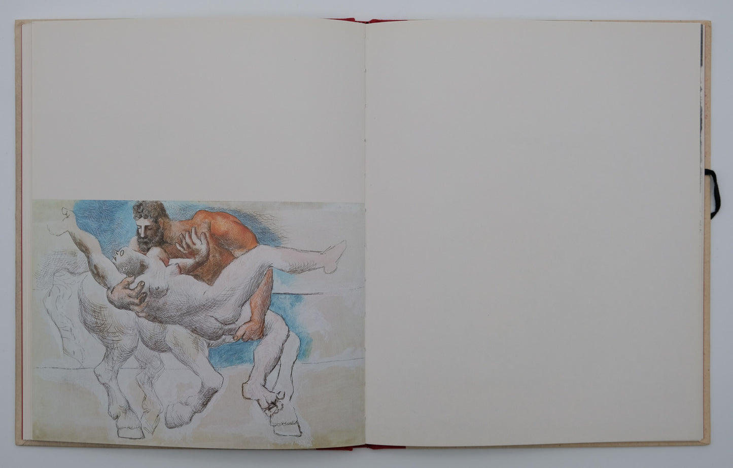 Pablo PICASSO : Carnets érotiques - Livre illustré