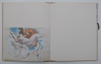 Pablo PICASSO : Carnets érotiques - Livre illustré