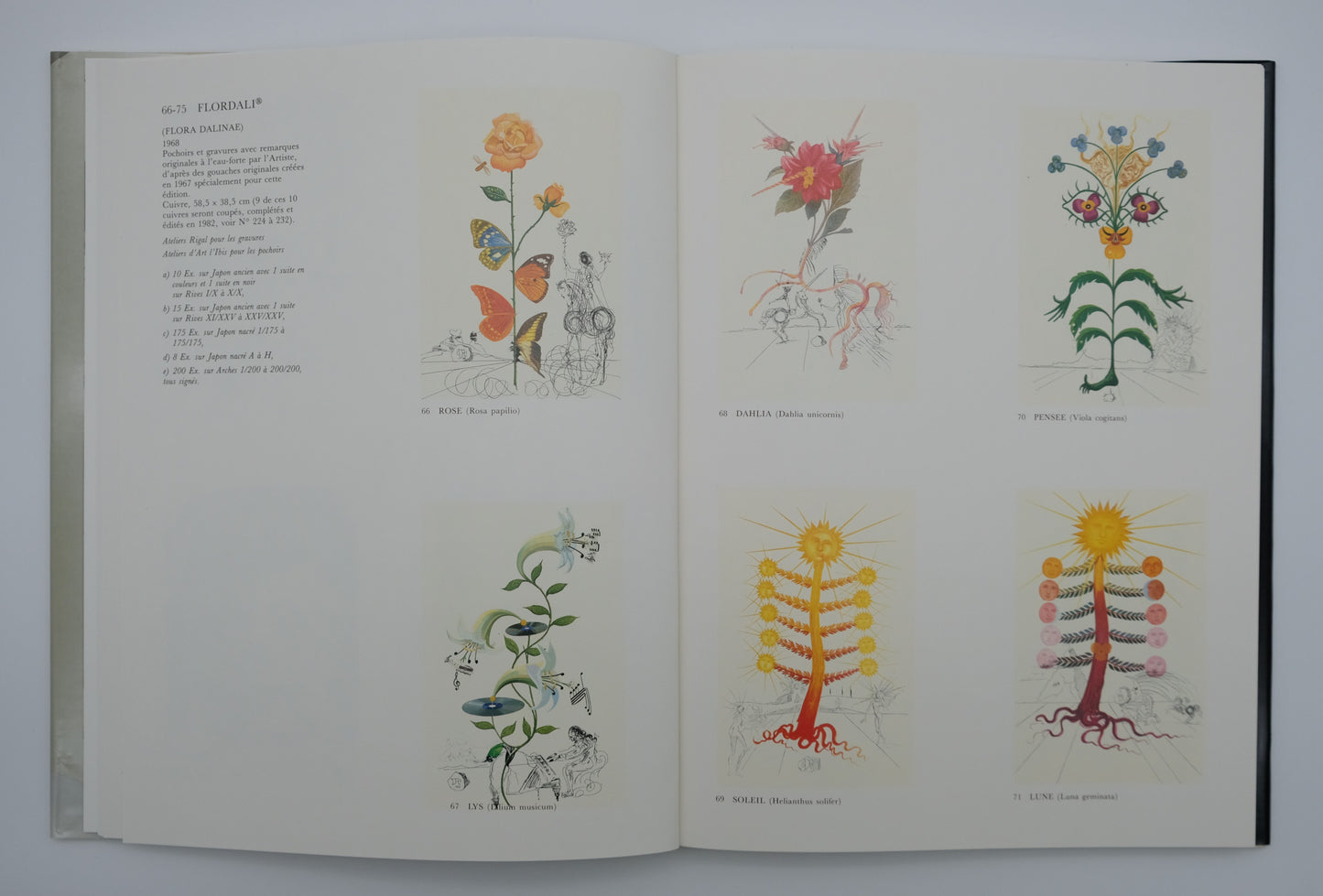 Salvador DALI : Catalogue raisonné Sahli - 257 œuvres originales