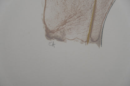 Camille HILAIRE :  Les équilibristes - Lithographie originale signée