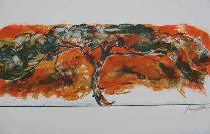 Gérard DIAZ : Acacia africain - Lithographie originale signée
