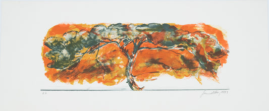 Gérard DIAZ : Acacia africain - Lithographie originale signée